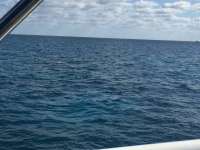 Great day of scuba diving in Key Largo with Rainbow Reef on christmastree cave tropical adventure 2018 03 06 r5524 1