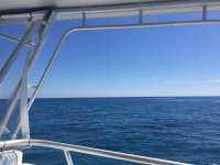 Great day of scuba diving in Key Largo with Rainbow Reef on christmastree cave tropical legend 2018 03 16 r5611 1