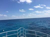 Great day of scuba diving in Key Largo with Rainbow Reef on christmastree cave tropical odyssey 2018 03 17 r5620 1