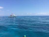 Great day of scuba diving in Key Largo with Rainbow Reef on christmastree cave tropical odyssey 2018 03 18 r5626 1