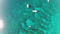 Great day of scuba diving in Key Largo with Rainbow Reef on crf nursery tropical voyager 2018 03 08 r5547 1