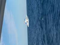 Great day of scuba diving in Key Largo with Rainbow Reef on drift french tropical explorer 2018 03 13 r5574 1