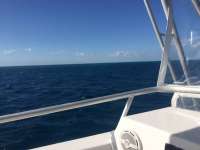 Great day of scuba diving in Key Largo with Rainbow Reef on drift french tropical legend 2018 03 04 r5515 1