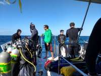 Great day of scuba diving in Key Largo with Rainbow Reef on drift molasses tropical explorer 2018 03 24 r5666 1
