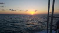 Great day of scuba diving in Key Largo with Rainbow Reef on eagle ray alley tropical legend 2018 03 24 r5672 1