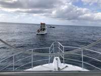 Great day of scuba diving in Key Largo with Rainbow Reef on eagle ray alley tropical legend 2018 03 31 r5706 1