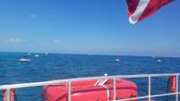 Great day of scuba diving in Key Largo with Rainbow Reef on eagle ray alley tropical odyssey 2018 03 02 r5498 1