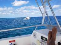 Great day of scuba diving in Key Largo with Rainbow Reef on eagle ray alley tropical odyssey 2018 03 06 r5532 1