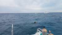 Great day of scuba diving in Key Largo with Rainbow Reef on fire coral cave tropical adventure 2018 03 09 r5550 1