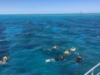 Great day of scuba diving in Key Largo with Rainbow Reef on fire coral cave tropical odyssey 2018 03 15 r5600 1