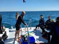 Great day of scuba diving in Key Largo with Rainbow Reef on french reef tropical adventure 2018 03 22 r5654 1