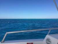 Great day of scuba diving in Key Largo with Rainbow Reef on french reef tropical legend 2018 03 04 r5510 1