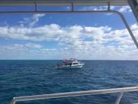 Great day of scuba diving in Key Largo with Rainbow Reef on french reef tropical legend 2018 03 06 r5525 1