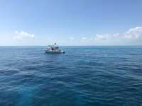 Great day of scuba diving in Key Largo with Rainbow Reef on french reef tropical legend 2018 03 18 r5624 1