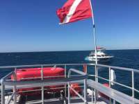 Great day of scuba diving in Key Largo with Rainbow Reef on french reef tropical odyssey 2018 03 22 r5650 1