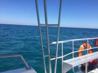 Great day of scuba diving in Key Largo with Rainbow Reef on french reef tropical odyssey 2018 03 22 r5651 1