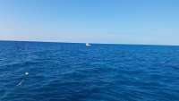 Great day of scuba diving in Key Largo with Rainbow Reef on french reef tropical voyager 2018 03 11 r5563 1