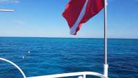 Great day of scuba diving in Key Largo with Rainbow Reef on hole in the wall tropical adventure 2018 03 17 r5614 1