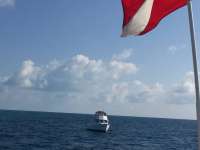 Great day of scuba diving in Key Largo with Rainbow Reef on hole in the wall tropical legend 2018 03 19 r5629 1