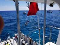 Great day of scuba diving in Key Largo with Rainbow Reef on hole in the wall tropical voyager 2018 03 14 r5588 1
