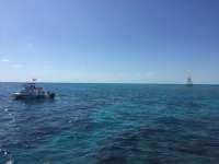 Great day of scuba diving in Key Largo with Rainbow Reef on molasses reef tropical adventure 2018 03 01 r5487 1
