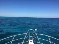 Great day of scuba diving in Key Largo with Rainbow Reef on molasses reef tropical adventure 2018 03 03 r5503 1
