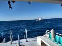 Great day of scuba diving in Key Largo with Rainbow Reef on molasses reef tropical adventure 2018 03 22 r5647 1