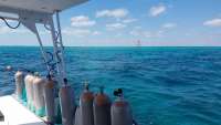 Great day of scuba diving in Key Largo with Rainbow Reef on molasses reef tropical adventure 2018 03 24 r5670 1