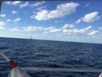 Great day of scuba diving in Key Largo with Rainbow Reef on molasses reef tropical legend 2018 03 09 r5555 1