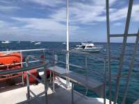 Great day of scuba diving in Key Largo with Rainbow Reef on molasses reef tropical legend 2018 03 31 r5709 1