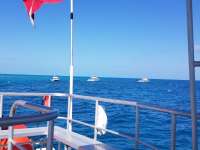 Great day of scuba diving in Key Largo with Rainbow Reef on molasses reef tropical odyssey 2018 03 01 r5486 1