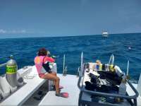 Great day of scuba diving in Key Largo with Rainbow Reef on molasses reef tropical odyssey 2018 03 20 r5639 1