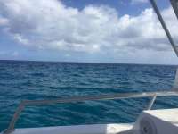 Great day of scuba diving in Key Largo with Rainbow Reef on molasses reef tropical odyssey 2018 03 30 r5701 1