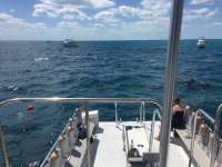 Great day of scuba diving in Key Largo with Rainbow Reef on molasses reef tropical voyager 2018 03 24 r5669 1