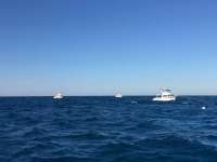 Great day of scuba diving in Key Largo with Rainbow Reef on north dry rocks tropical explorer 2018 03 15 r5593 1