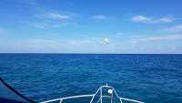 Great day of scuba diving in Key Largo with Rainbow Reef on north star tropical adventure 2018 03 31 r5710 1