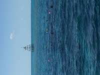Great day of scuba diving in Key Largo with Rainbow Reef on north star tropical legend 2018 03 01 r5485 1