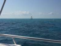 Great day of scuba diving in Key Largo with Rainbow Reef on north star tropical legend 2018 03 19 r5632 1