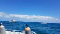 Great day of scuba diving in Key Largo with Rainbow Reef on north star tropical voyager 2018 03 30 r5698 1