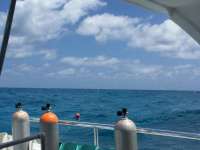 Great day of scuba diving in Key Largo with Rainbow Reef on snapper ledge tropical explorer 2018 03 30 r5697 1