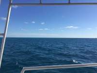 Great day of scuba diving in Key Largo with Rainbow Reef on snapper ledge tropical legend 2018 03 16 r5606 1