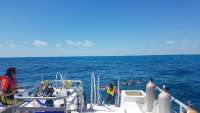Great day of scuba diving in Key Largo with Rainbow Reef on snapper ledge tropical legend 2018 03 25 r5680 1