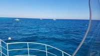 Great day of scuba diving in Key Largo with Rainbow Reef on spanish anchor tropical legend 2018 03 03 r5505 1
