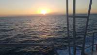 Great day of scuba diving in Key Largo with Rainbow Reef on spanish anchor tropical legend 2018 03 03 r5506 1