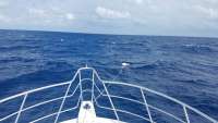 Great day of scuba diving in Key Largo with Rainbow Reef on spiegel grove tropical adventure 2018 03 10 r5561 1