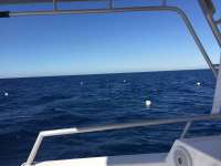 Great day of scuba diving in Key Largo with Rainbow Reef on spiegel grove tropical odyssey 2018 03 03 r5500 1