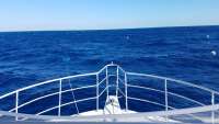 Great day of scuba diving in Key Largo with Rainbow Reef on spiegel grove tropical odyssey 2018 03 04 r5507 1