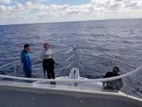 Great day of scuba diving in Key Largo with Rainbow Reef on spiegel grove tropical odyssey 2018 03 06 r5526 1