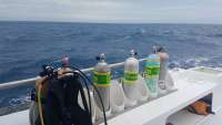 Great day of scuba diving in Key Largo with Rainbow Reef on spiegel grove tropical odyssey 2018 03 12 r5572 1