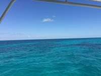 Great day of scuba diving in Key Largo with Rainbow Reef on spiegel grove tropical odyssey 2018 03 17 r5616 1